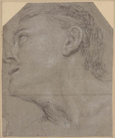 C 055
          <br/>
          Manskop, opziend naar links
          <br/>
          <em>Domenichino (1581-1641)</em>